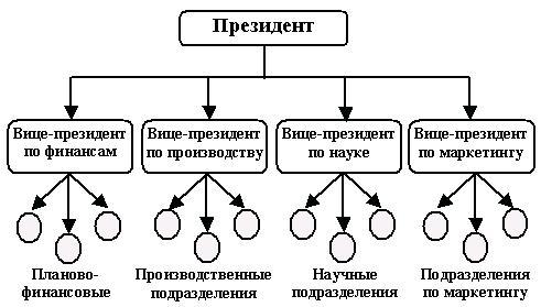 функциональная структура системы управления
